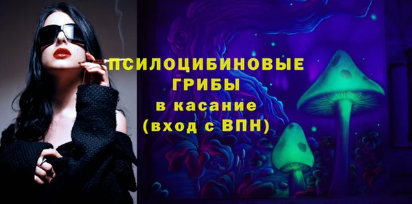 амф Елизово