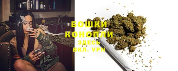 шишки Чекалин