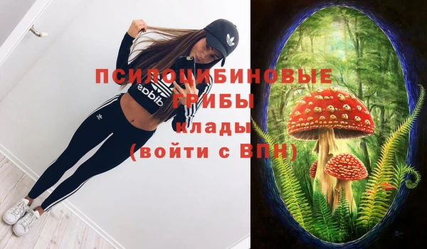 спиды Елабуга
