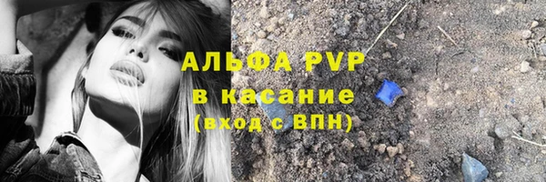 амф Елизово