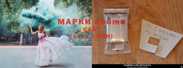 амф Елизово