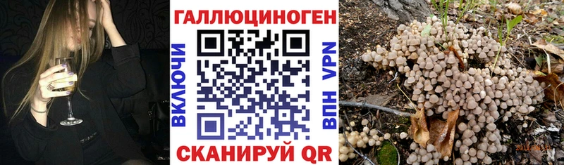 где можно купить наркотик  Истра  Псилоцибиновые грибы Cubensis 